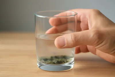 コップのカビを飲んだら大丈夫？症状の目安と受診判断7つ